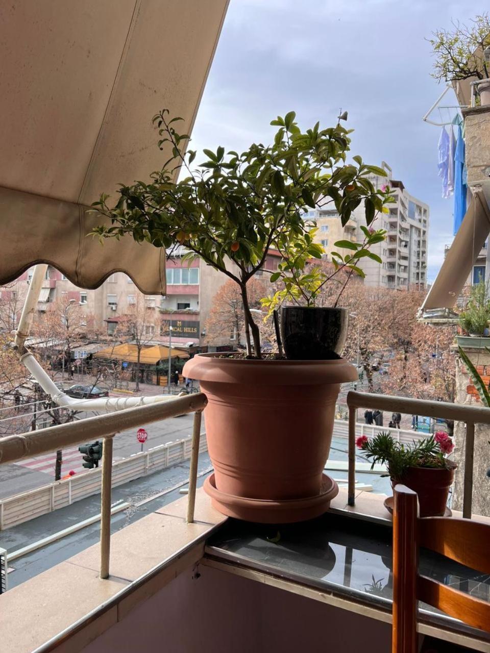 3M Urban Stay Tirana Exteriör bild